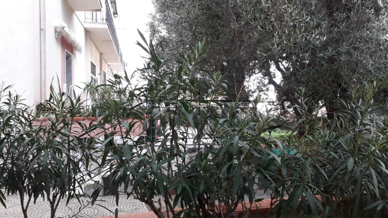 Cialoma Full Green Marina di Camerota Ngoại thất bức ảnh