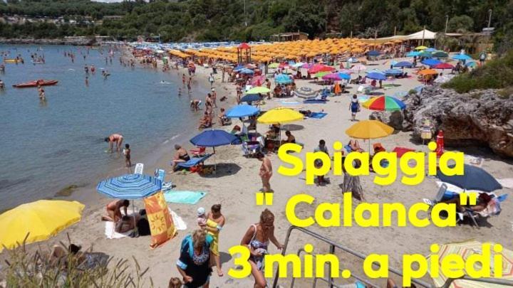 Cialoma Full Green Marina di Camerota Ngoại thất bức ảnh