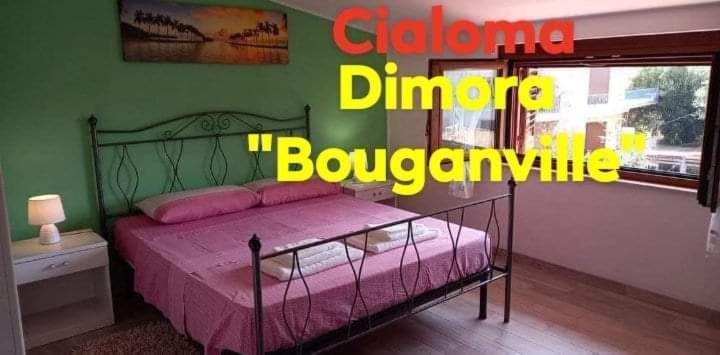 Cialoma Full Green Marina di Camerota Ngoại thất bức ảnh
