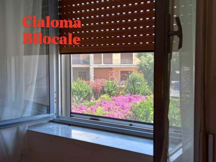 Cialoma Full Green Marina di Camerota Ngoại thất bức ảnh