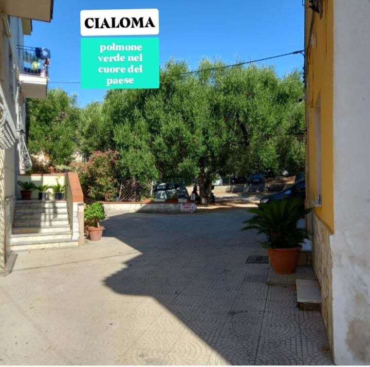 Cialoma Full Green Marina di Camerota Phòng bức ảnh