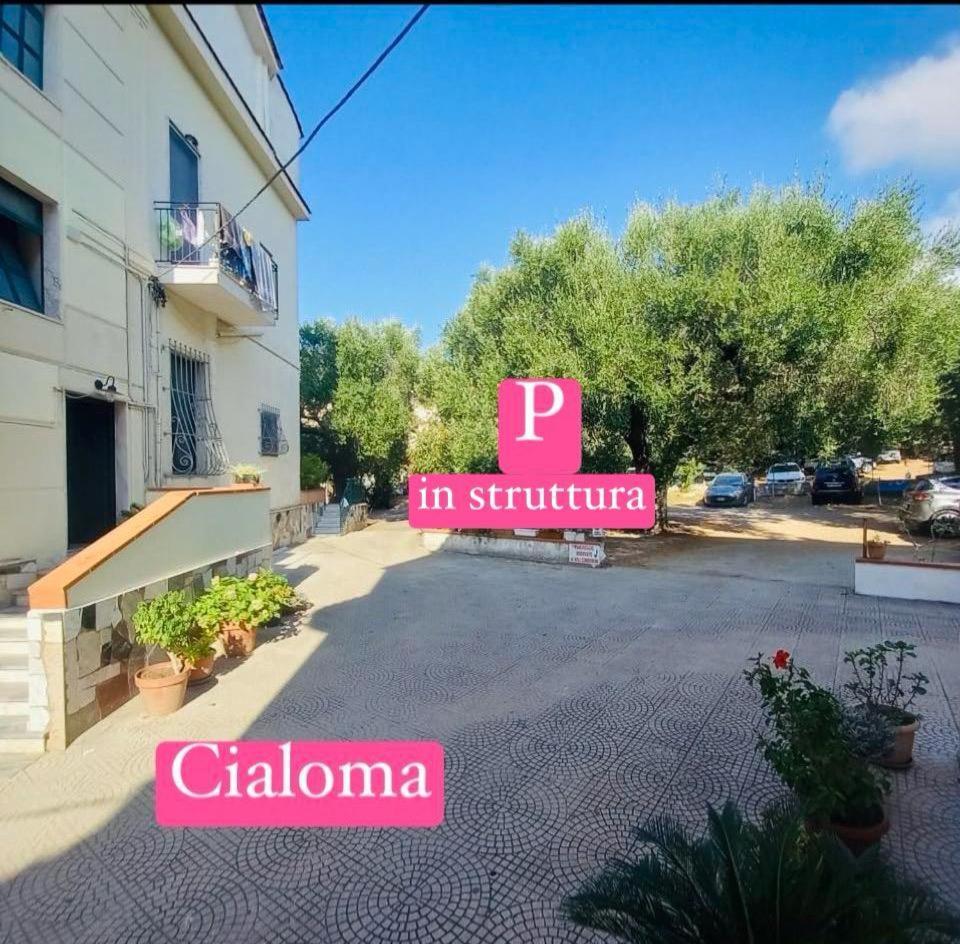 Cialoma Full Green Marina di Camerota Ngoại thất bức ảnh